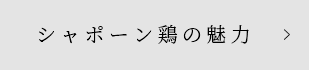 シャポーン鶏の魅力