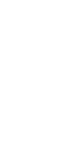 シャポーン鶏の魅力