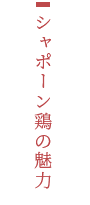 シャポーン鶏の魅力